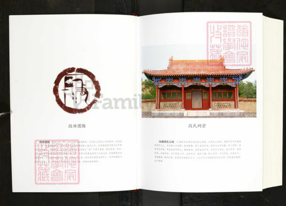 山西省忻州市静乐县娑婆乡段氏族谱-汾源段氏家谱.pdf电子版插图3