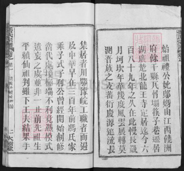 湖北省武汉市黄陂区冯氏大树堂族谱-冯氏宗谱.pdf电子版插图2