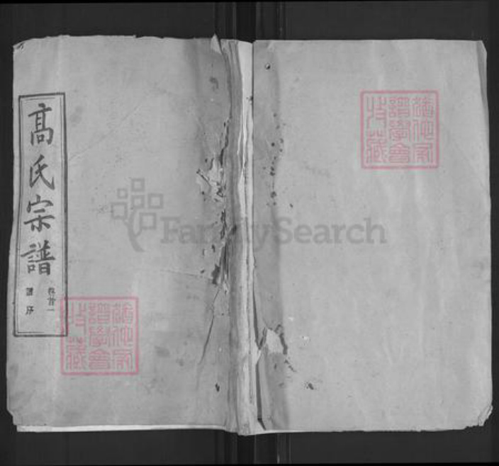 湖北省武汉市新洲区高氏渤海堂族谱-高氏宗谱.pdf电子版插图