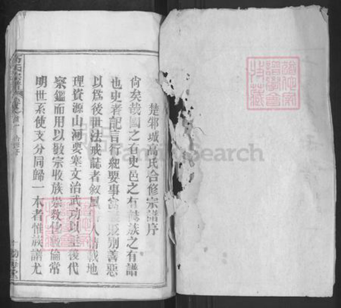 湖北省武汉市新洲区高氏渤海堂族谱-高氏宗谱.pdf电子版插图1