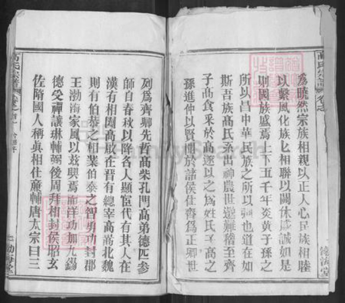 湖北省武汉市新洲区高氏渤海堂族谱-高氏宗谱.pdf电子版插图2