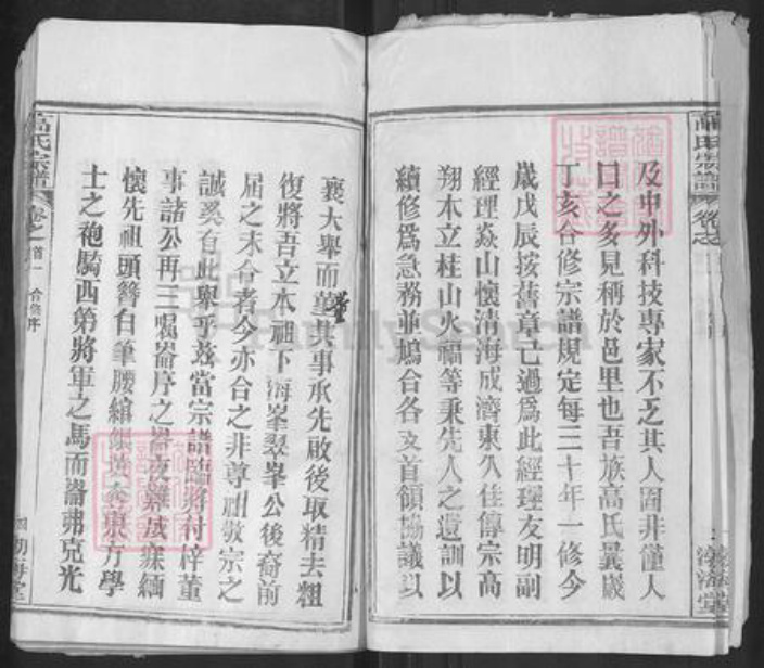 湖北省武汉市新洲区高氏渤海堂族谱-高氏宗谱.pdf电子版插图4