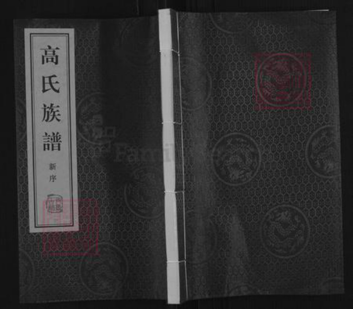 山东省临沂市临沂市高氏族谱-高氏族谱.pdf电子版插图