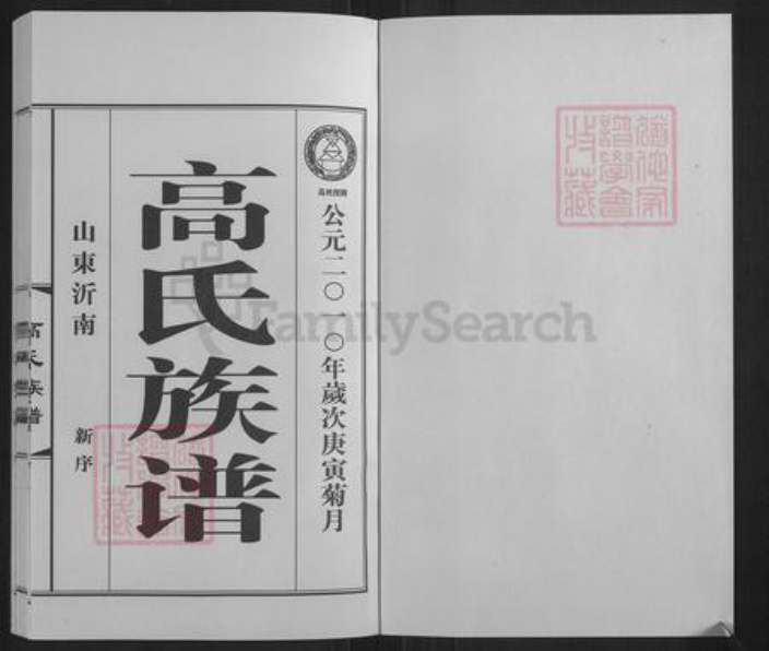 山东省临沂市临沂市高氏族谱-高氏族谱.pdf电子版插图1