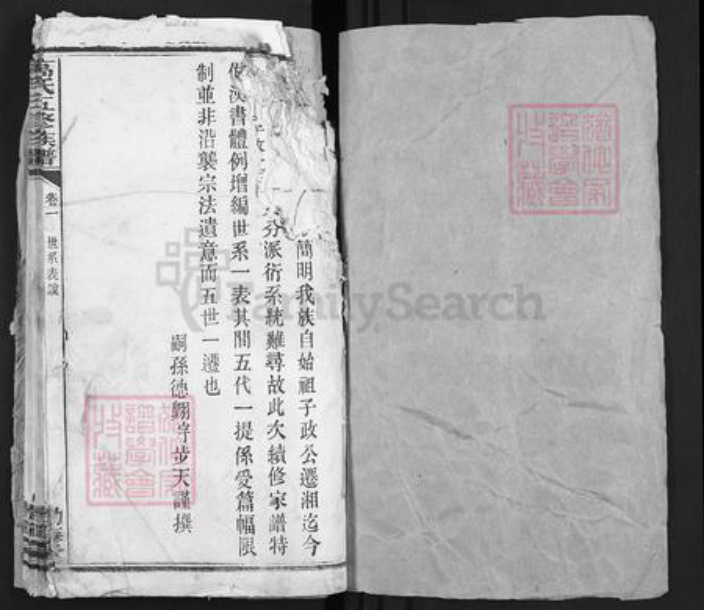 湖南省长沙市望城区高氏渤海堂族谱-高氏五修族谱.pdf电子版插图1