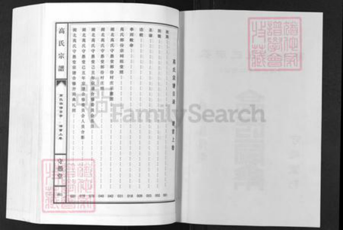湖北省鄂州市高氏守愚堂族谱-高氏宗谱.pdf电子版插图2