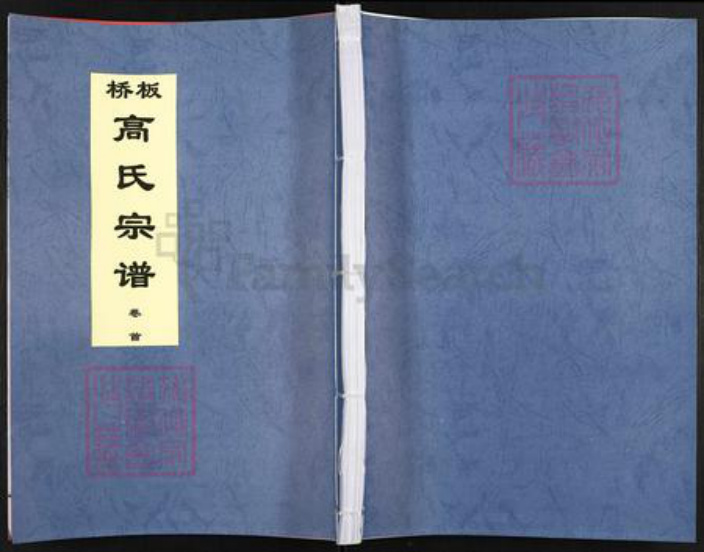 浙江省杭州市临安区区板桥镇高氏族谱-板桥高氏宗谱.pdf电子版插图