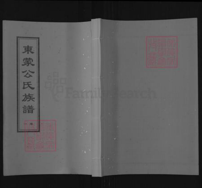 山东省临沂市蒙阴县野店镇公氏族谱-东蒙公氏族谱.pdf电子版插图