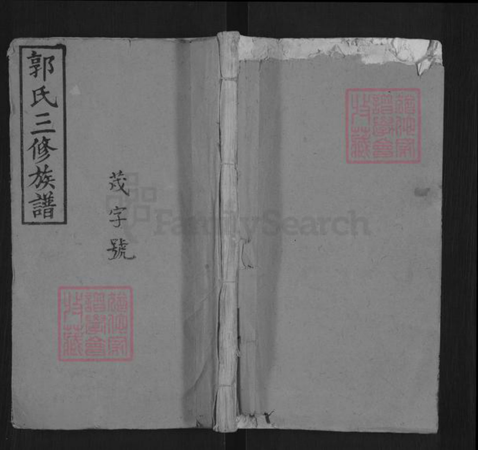 江西省宜春市袁州区郭氏汾阳堂族谱-浏阳小湖塘郭氏族谱.pdf电子版插图 江西省宜春市袁州区郭氏汾阳堂族谱-浏阳小湖塘郭氏族谱.pdf电子版插图