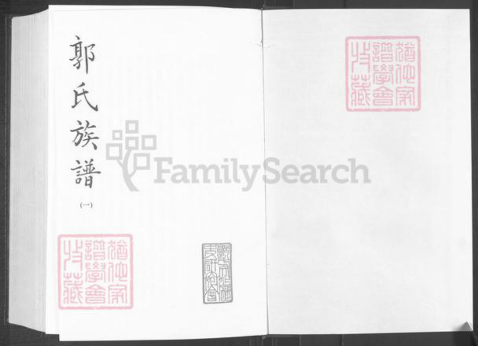 山东省潍坊市郭氏族谱-郭氏族谱.pdf电子版插图1