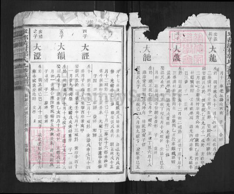 江西省赣州市宁都县郭氏族谱-宁都潢村郭氏九修族谱[不分卷].pdf电子版插图1