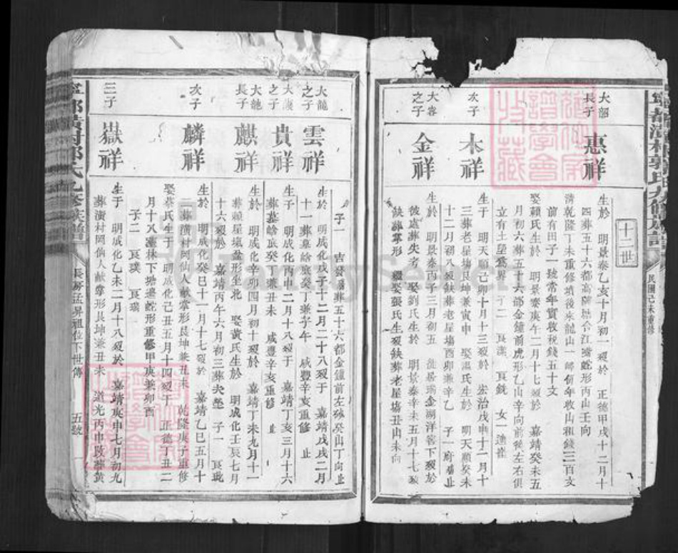 江西省赣州市宁都县郭氏族谱-宁都潢村郭氏九修族谱[不分卷].pdf电子版插图2