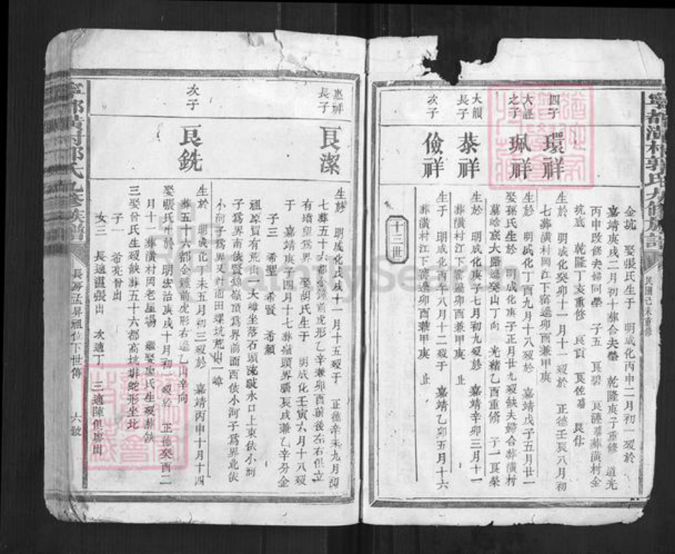 江西省赣州市宁都县郭氏族谱-宁都潢村郭氏九修族谱[不分卷].pdf电子版插图3