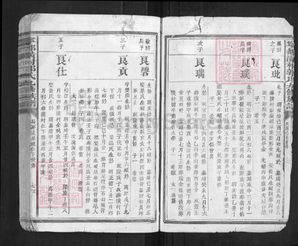 江西省赣州市宁都县郭氏族谱-宁都潢村郭氏九修族谱[不分卷].pdf电子版插图4