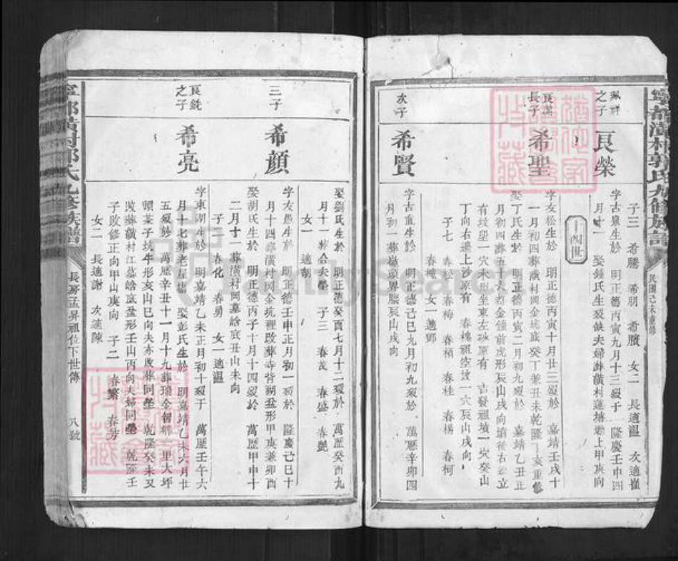 江西省赣州市宁都县郭氏族谱-宁都潢村郭氏九修族谱[不分卷].pdf电子版插图5