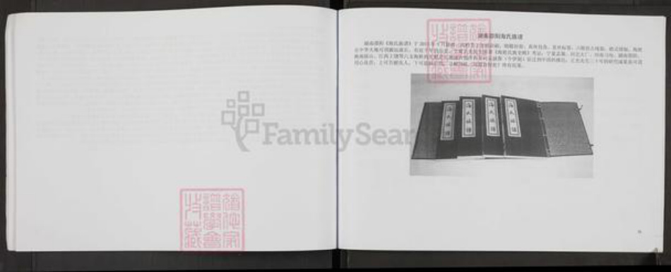 河南省郑州市中原区海氏族谱-回族海湾村海氏家谱.pdf电子版插图5