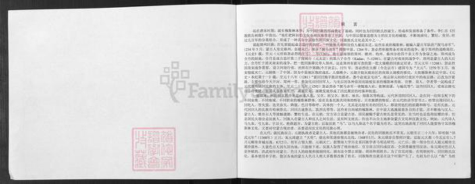 河南省郑州市中原区海氏族谱-河南省郑州市中原区回族海湾村海氏家谱.pdf电子版插图4