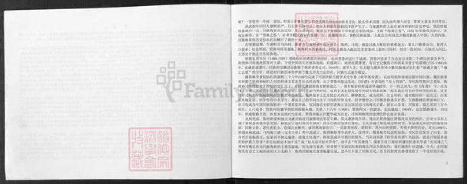 河南省郑州市中原区海氏族谱-河南省郑州市中原区回族海湾村海氏家谱.pdf电子版插图5