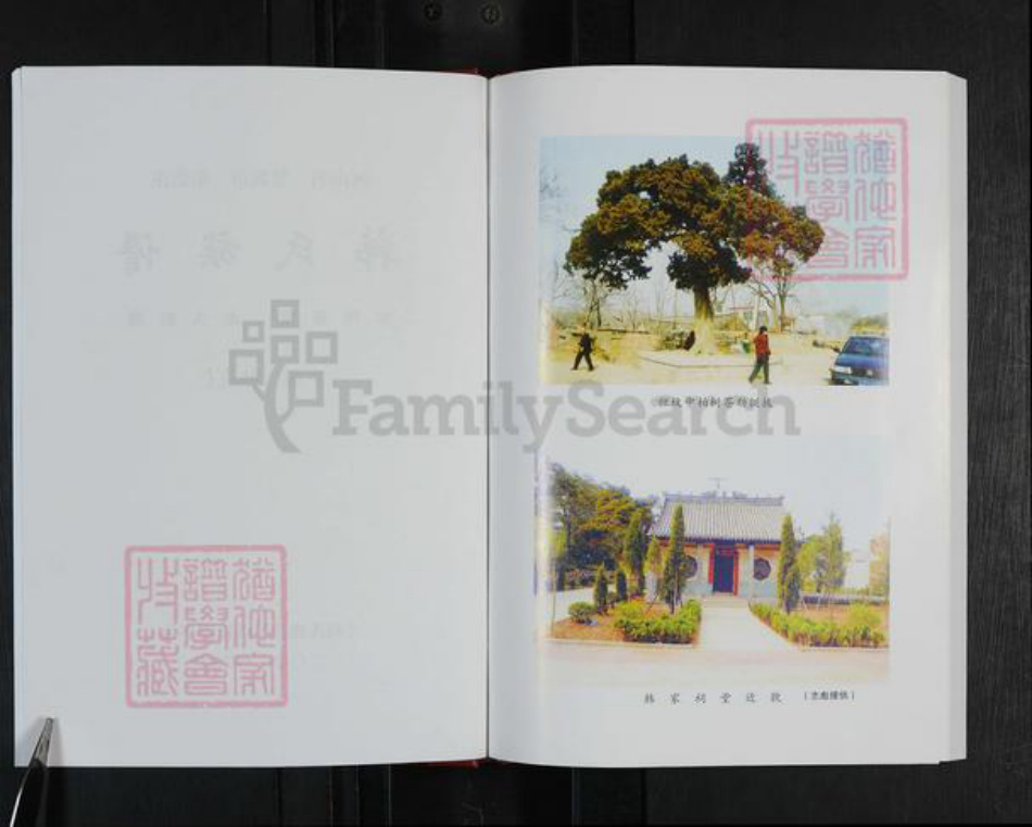 河南省郑州市登封市韩氏族谱-韩氏族谱.pdf电子版插图2