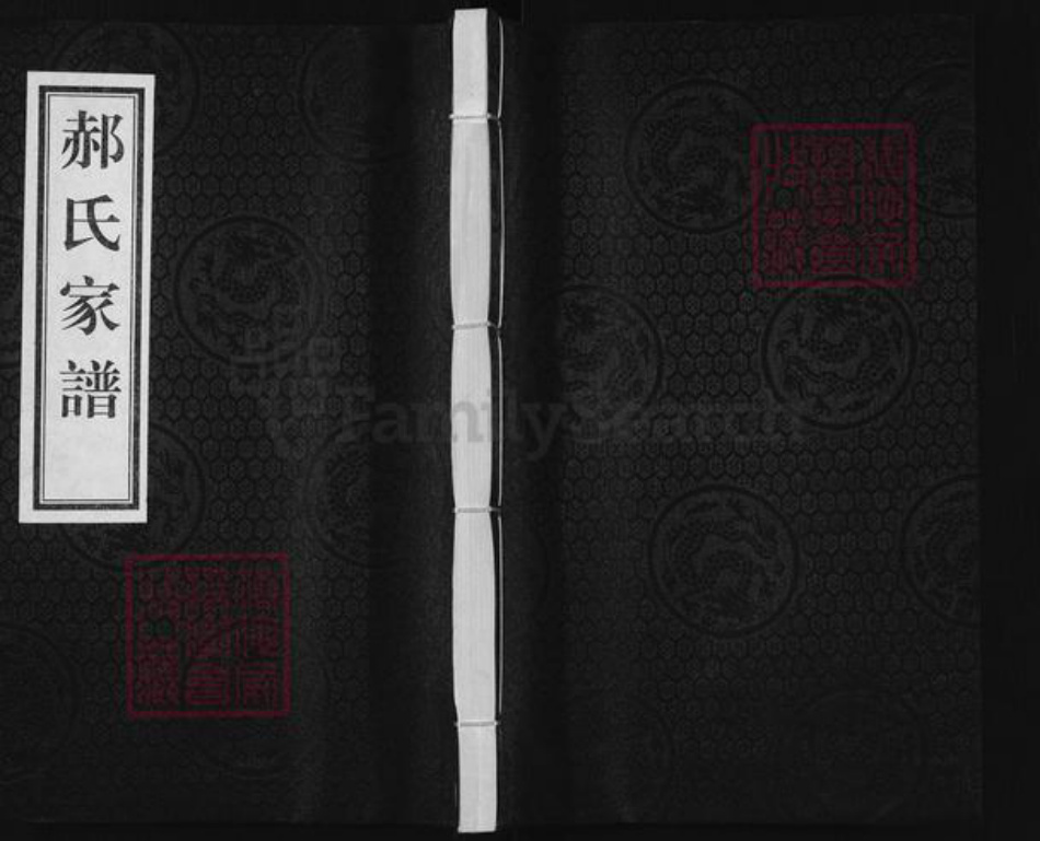 河北省沧州沧州地区东光郝氏敦睦堂族谱-郝氏家谱.pdf电子版