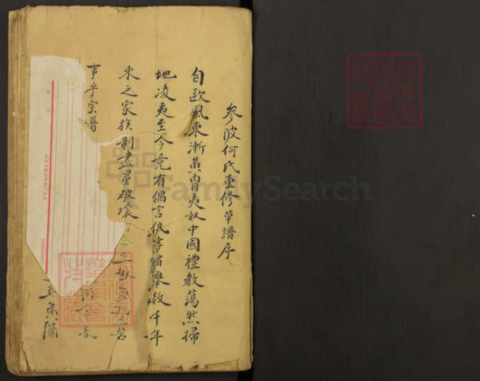 江西省吉安市吉水县何氏族谱-Missing Title.pdf电子版插图1