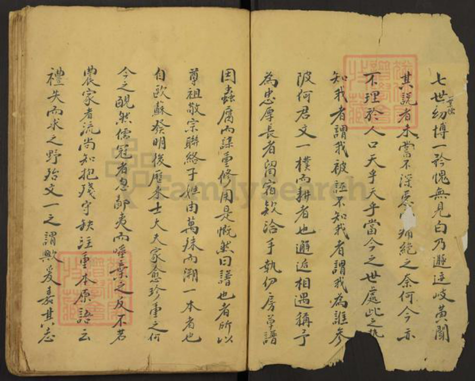 江西省吉安市吉水县何氏族谱-Missing Title.pdf电子版插图2