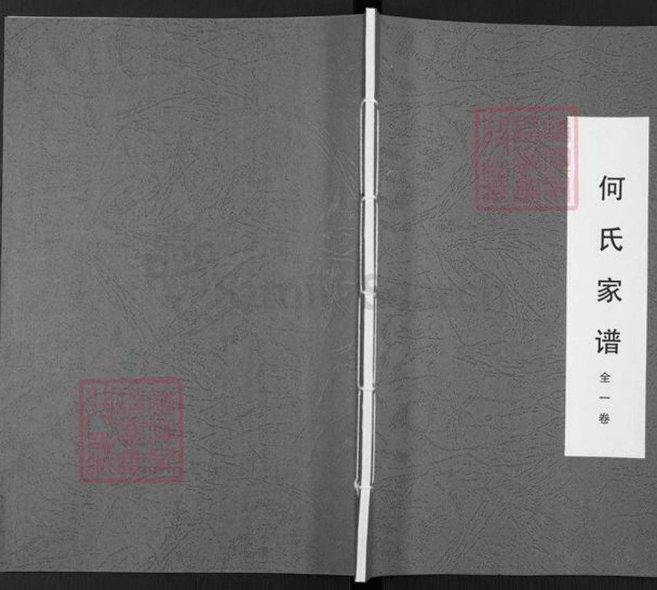 湖北省宜昌市枝江市仙女镇何氏族谱-何氏家谱.pdf电子版