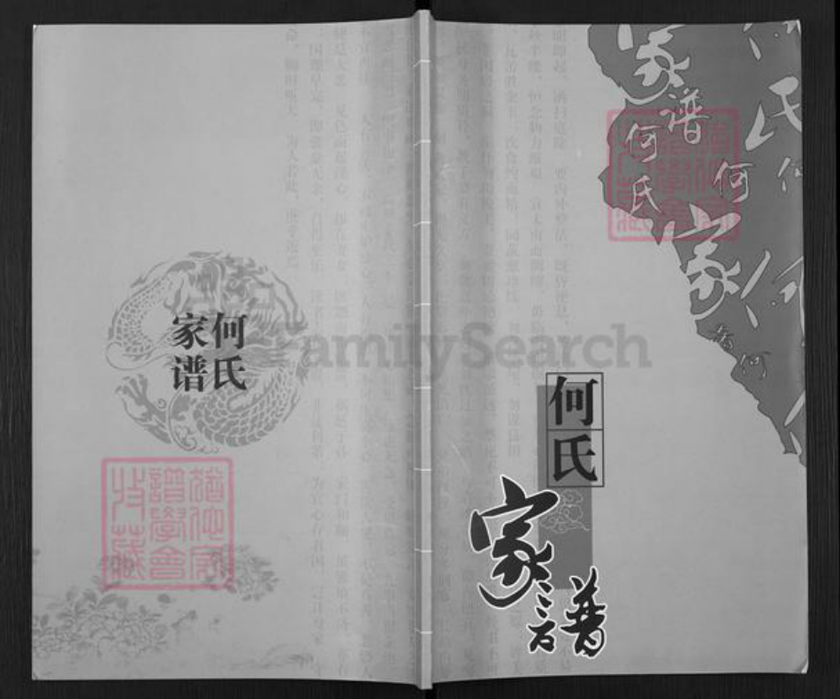 广西壮族自治区贺州平桂区黄田镇何氏族谱-何氏家谱.pdf电子版