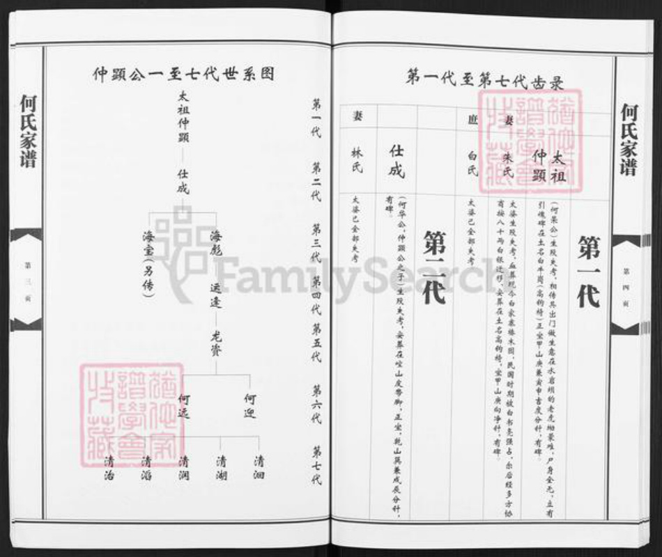 广西壮族自治区贺州平桂区黄田镇何氏族谱-何氏家谱.pdf电子版插图4