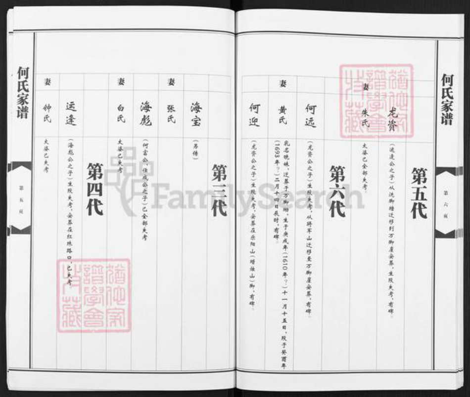 广西壮族自治区贺州平桂区黄田镇何氏族谱-何氏家谱.pdf电子版插图5