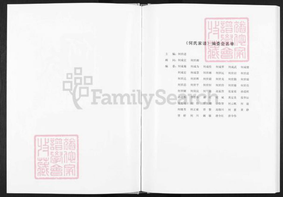 四川省达州市开江县普安镇何氏族谱-何氏家谱.pdf电子版插图2 四川省达州市开江县普安镇何氏族谱-何氏家谱.pdf电子版插图2