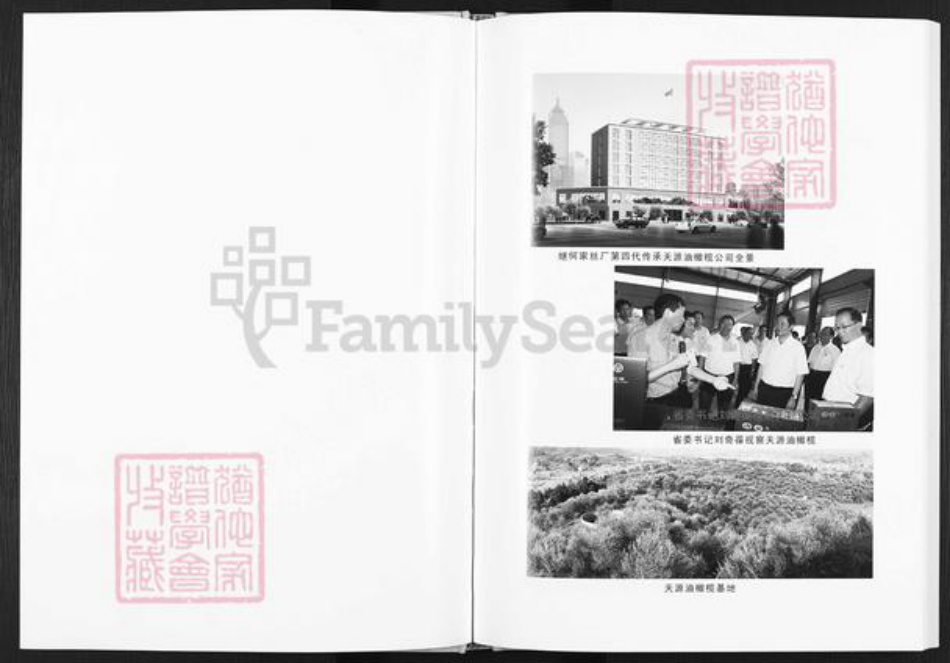 四川省达州市开江县普安镇何氏族谱-何氏家谱.pdf电子版插图3 四川省达州市开江县普安镇何氏族谱-何氏家谱.pdf电子版插图3