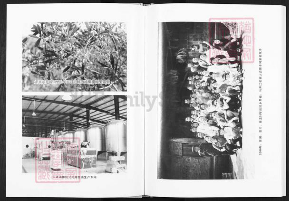 四川省达州市开江县普安镇何氏族谱-何氏家谱.pdf电子版插图4 四川省达州市开江县普安镇何氏族谱-何氏家谱.pdf电子版插图4