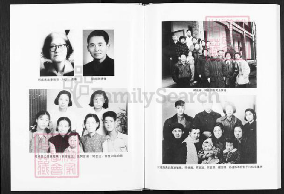 四川省达州市开江县普安镇何氏族谱-何氏家谱.pdf电子版插图5 四川省达州市开江县普安镇何氏族谱-何氏家谱.pdf电子版插图5