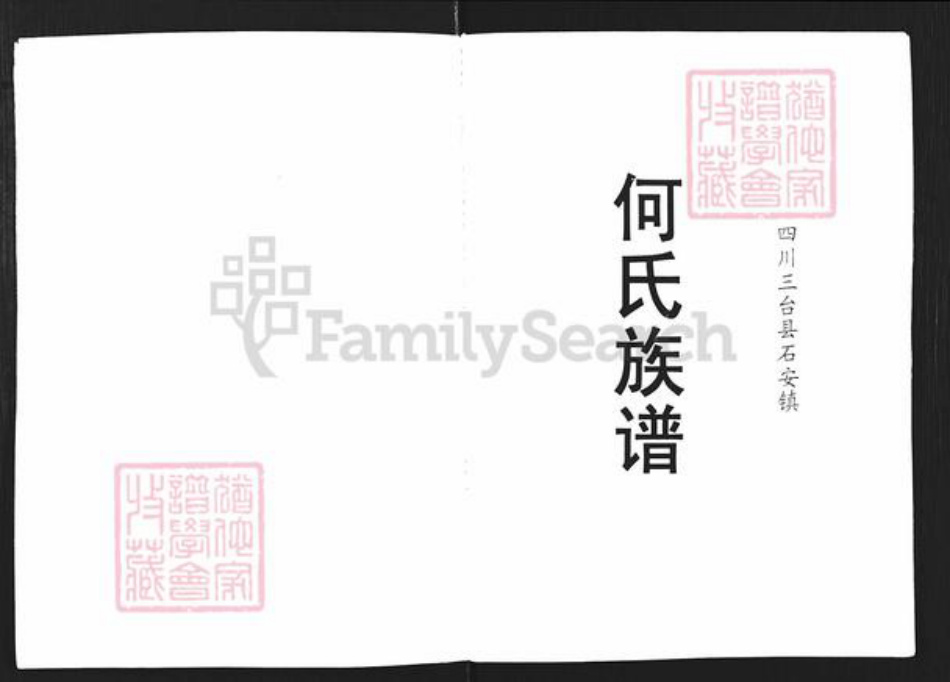 四川省绵阳市三台县石安镇何氏族谱-何氏族谱.pdf电子版插图1