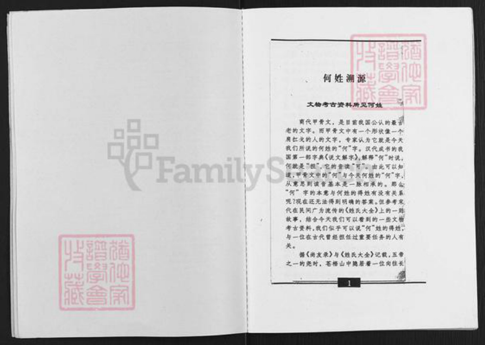 四川省绵阳市三台县石安镇何氏族谱-何氏族谱.pdf电子版插图3