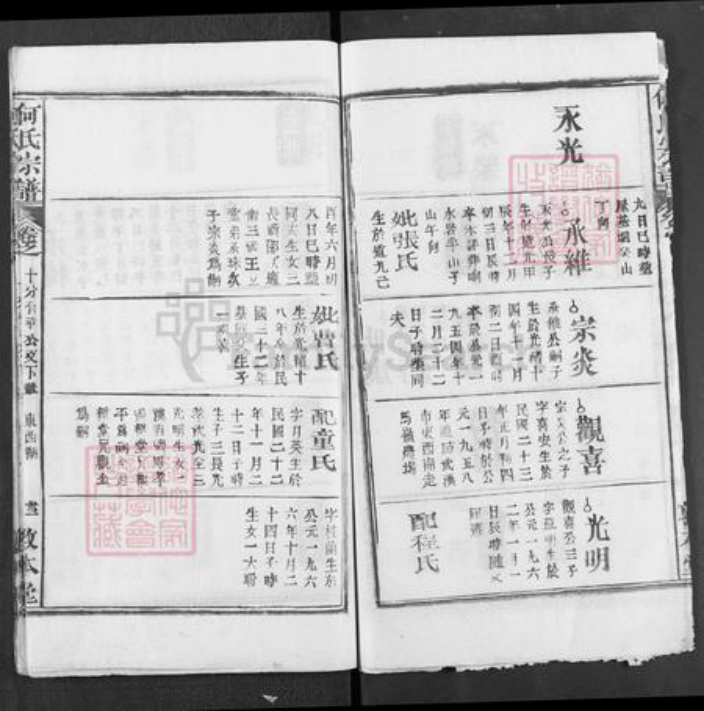 湖北省黄冈市英山县杨柳湾镇何氏敦本堂族谱-何氏宗谱.pdf电子版插图3