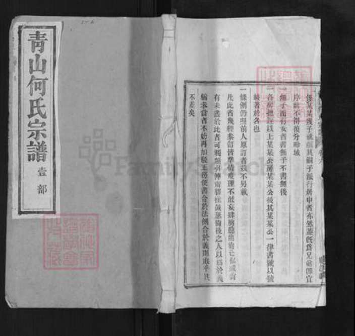 安徽省铜陵市枞阳县何氏族谱-青山何氏宗谱.pdf电子版插图 安徽省铜陵市枞阳县何氏族谱-青山何氏宗谱.pdf电子版插图