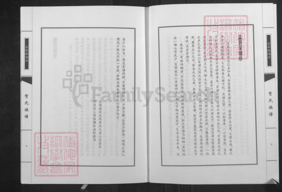 山西省忻州市五台县神西乡贺氏族谱-贺氏族谱.pdf电子版插图4 山西省忻州市五台县神西乡贺氏族谱-贺氏族谱.pdf电子版插图4