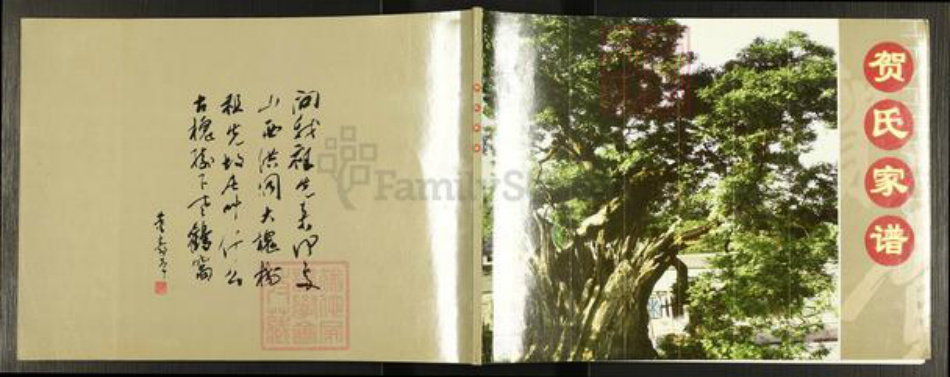 河北省邯郸市邯山区马庄乡贺氏族谱-新续贺氏家谱.pdf电子版