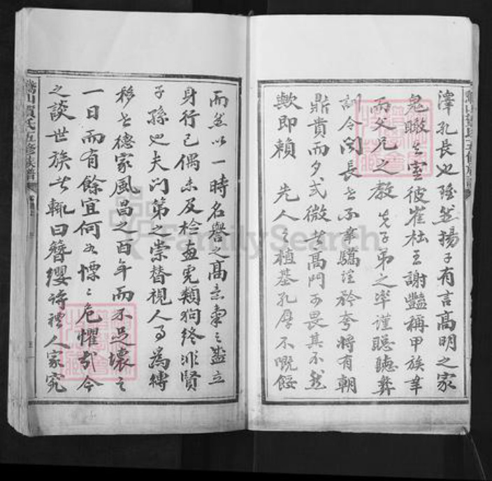 湖南省长沙市宁乡市贺氏族谱-中华鹅山贺氏五修族谱.pdf电子版插图5