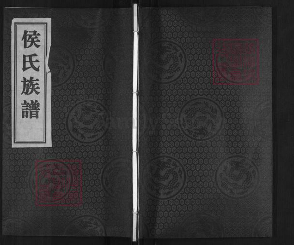 河北省沧州南皮县南皮镇侯氏族谱-侯氏族谱.pdf电子版