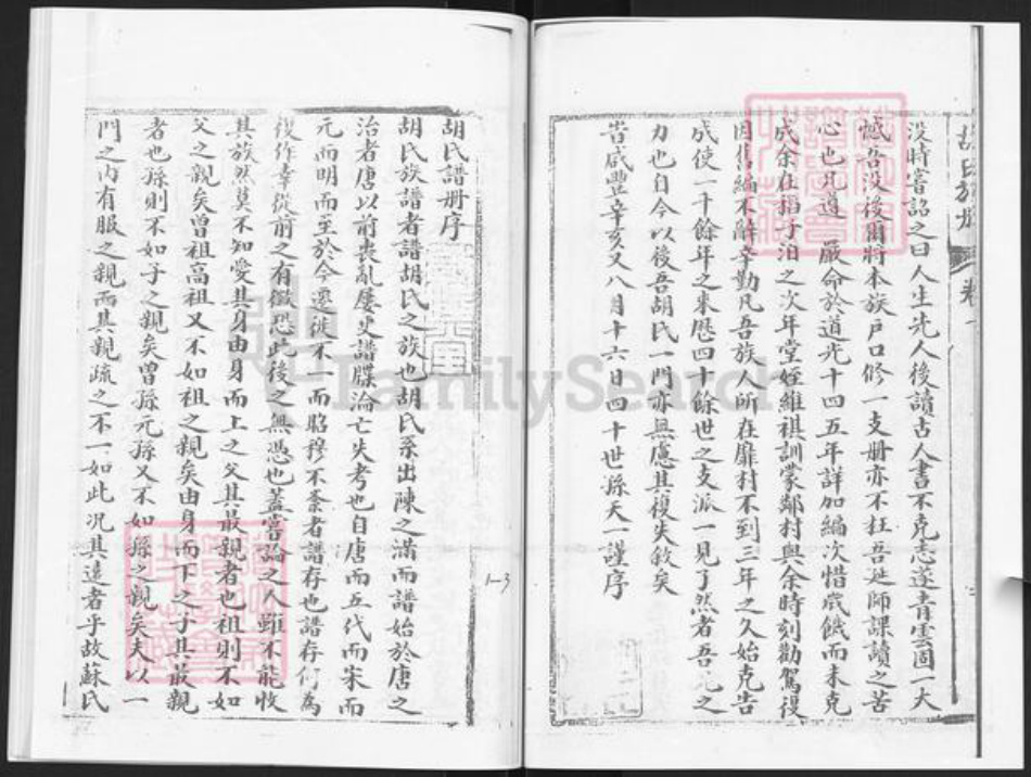 山东省烟台市龙口市胡氏族谱-胡氏族册.pdf电子版插图4