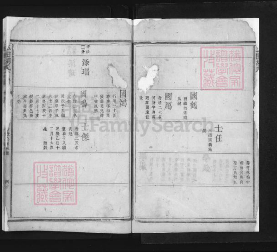 河北省唐山市玉田县胡氏族谱-玉田胡氏宗谱.pdf电子版插图2