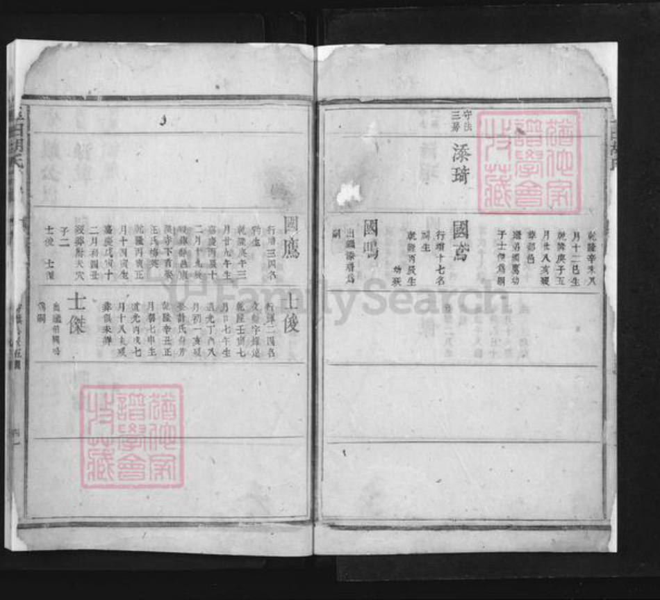 河北省唐山市玉田县胡氏族谱-玉田胡氏宗谱.pdf电子版插图3