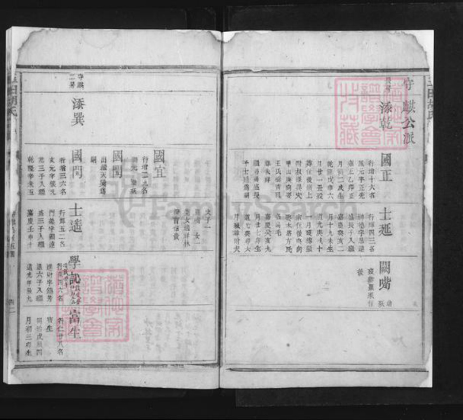 河北省唐山市玉田县胡氏族谱-玉田胡氏宗谱.pdf电子版插图4