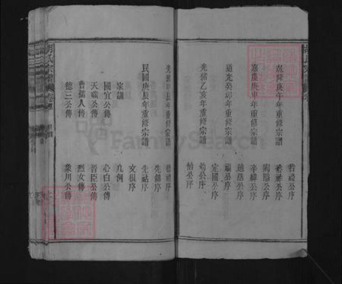 安徽省池州市青阳县胡氏族谱-胡氏宗谱.pdf电子版插图2