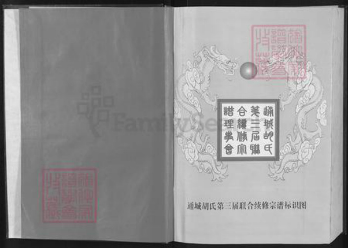 湖北省咸宁市通城县胡氏安定堂族谱-胡氏宗谱.pdf电子版插图2