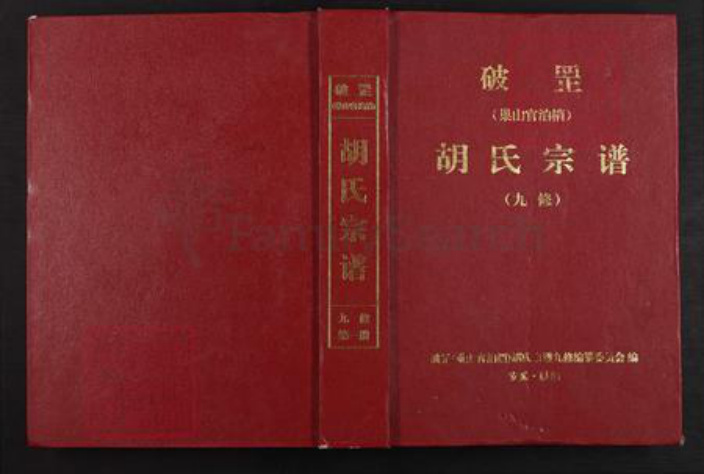 安徽省铜陵市枞阳县欧山镇胡氏瞻依堂族谱-破罡(巢山官柏梢)胡氏宗谱.pdf电子版