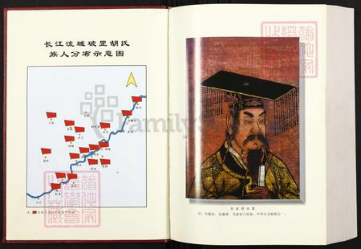 安徽省铜陵市枞阳县欧山镇胡氏瞻依堂族谱-破罡(巢山官柏梢)胡氏宗谱.pdf电子版插图4